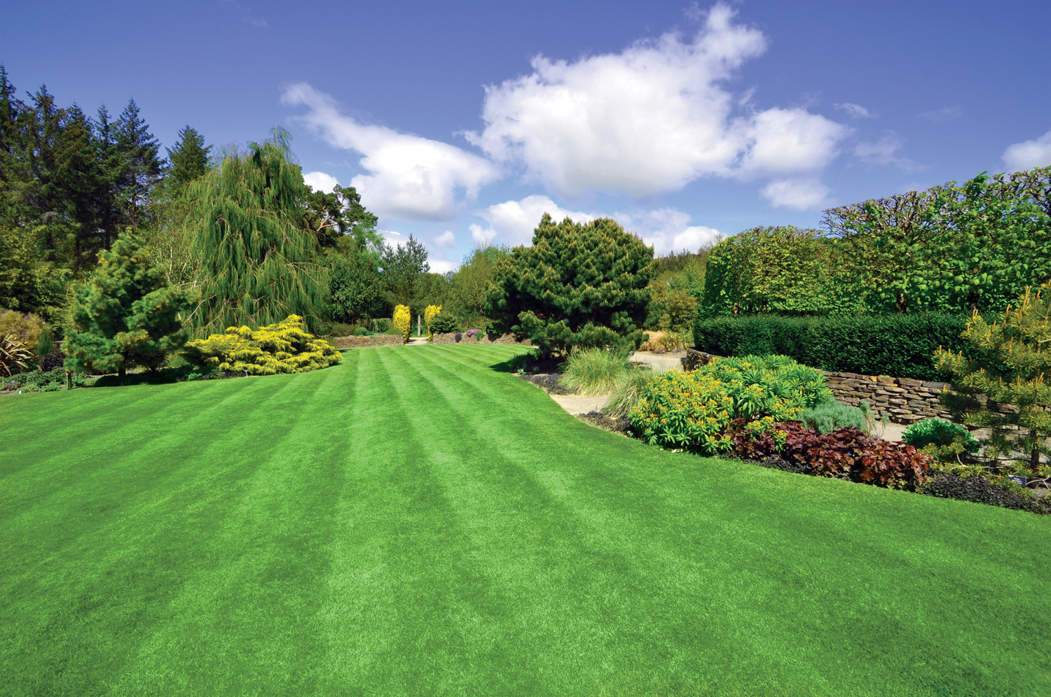 Lawnscape Image